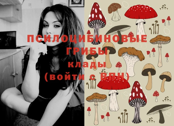 таблы Беломорск