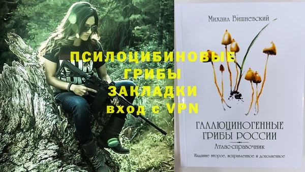 таблы Беломорск