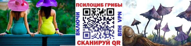 Псилоцибиновые грибы GOLDEN TEACHER Благодарный