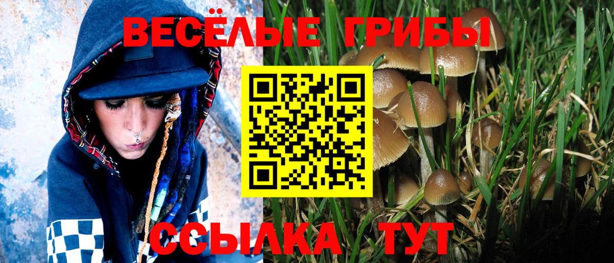 Галлюциногенные грибы GOLDEN TEACHER  Вход с VPN  Благодарный 