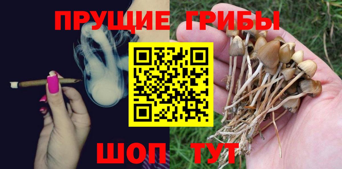 Галлюциногенные грибы мухоморы Благодарный
